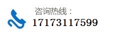 17173117599